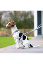 2023 HKM Dog Training Leash 13729 - Taupe